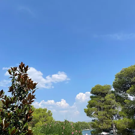 Апартаменты Oleander Adria *