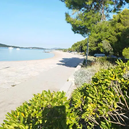 Oleander Adria Ядрия