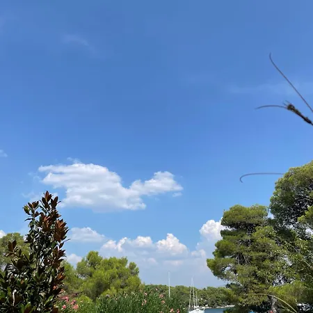 Oleander Adria Апартаменты Ядрия