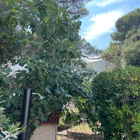 Oleander Adria Apartment *