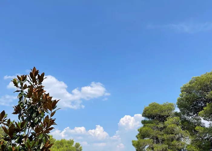 Appartement Oleander Adria *