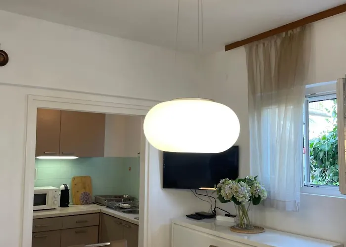 Oleander Adria Jadrija