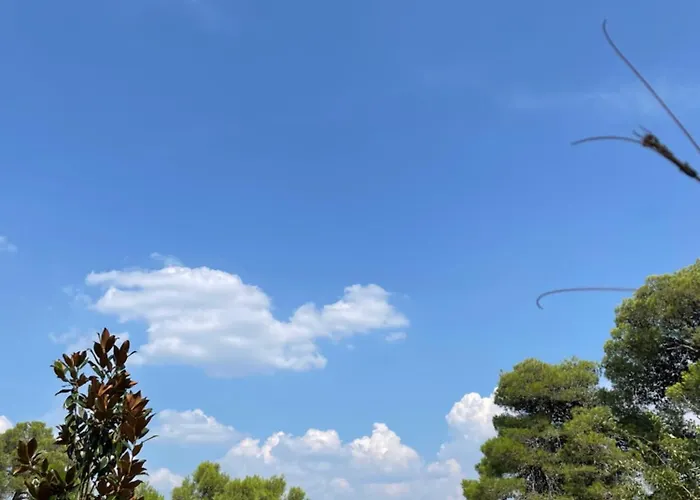 Oleander Adria Appartement Jadrija