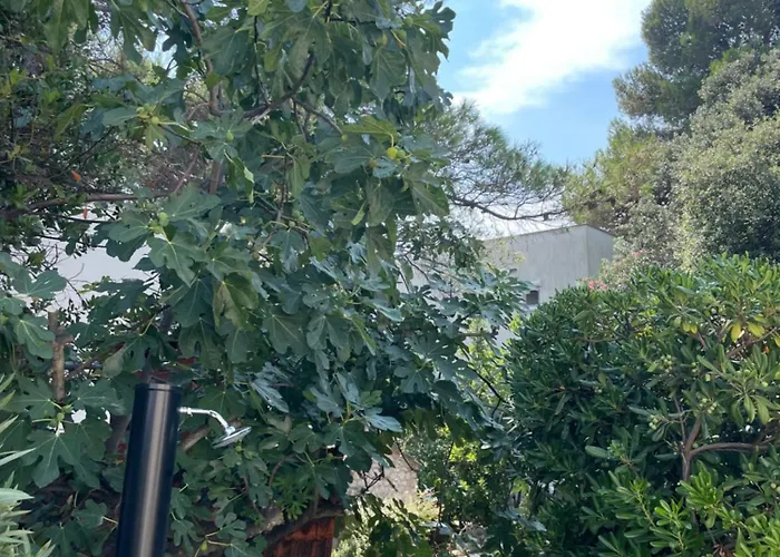 Oleander Adria Appartement *